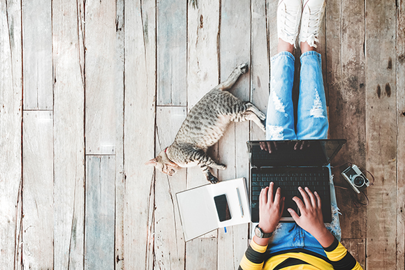 Hipster lifestyle and Creative workspace - Girl in jeans working on the laptop computer assisted by her cat on the wooden floor. vintage film color effect and retro color style